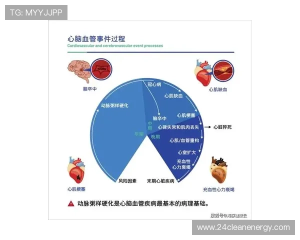 详细解析AG视讯怎么压才能有效控制风险实现稳定盈利的实用策略